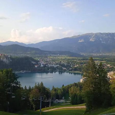Apartment Bee Near Bled Zabreznica エクステリア 写真