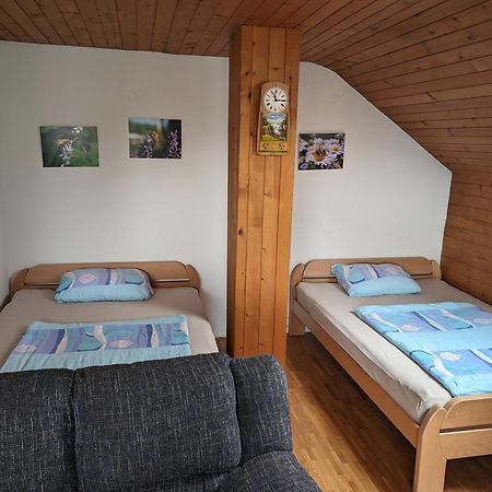 Apartment Bee Near Bled Zabreznica エクステリア 写真